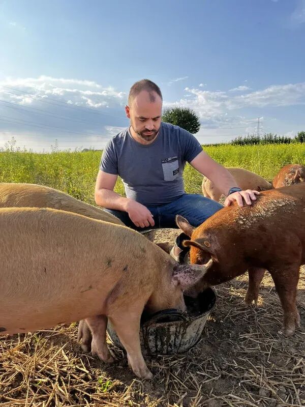 Mathias Lavaert with his pigs on the Akkervarken farm